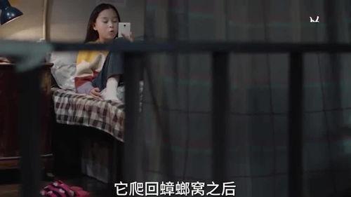 世子看糖大姐爆料视频,糖大姐爆料视频背后的惊人真相